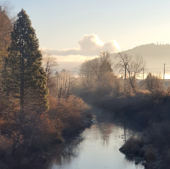 Meet your Posher, Chris - Picture 7 of 8